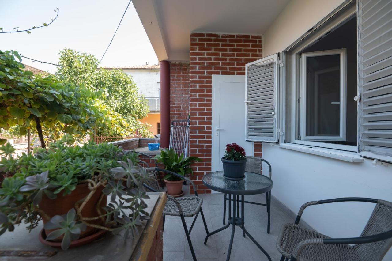 Modern Apartment Edda - Quiet Area - Close To Old Town And Beaches Zadar Exteriér fotografie
